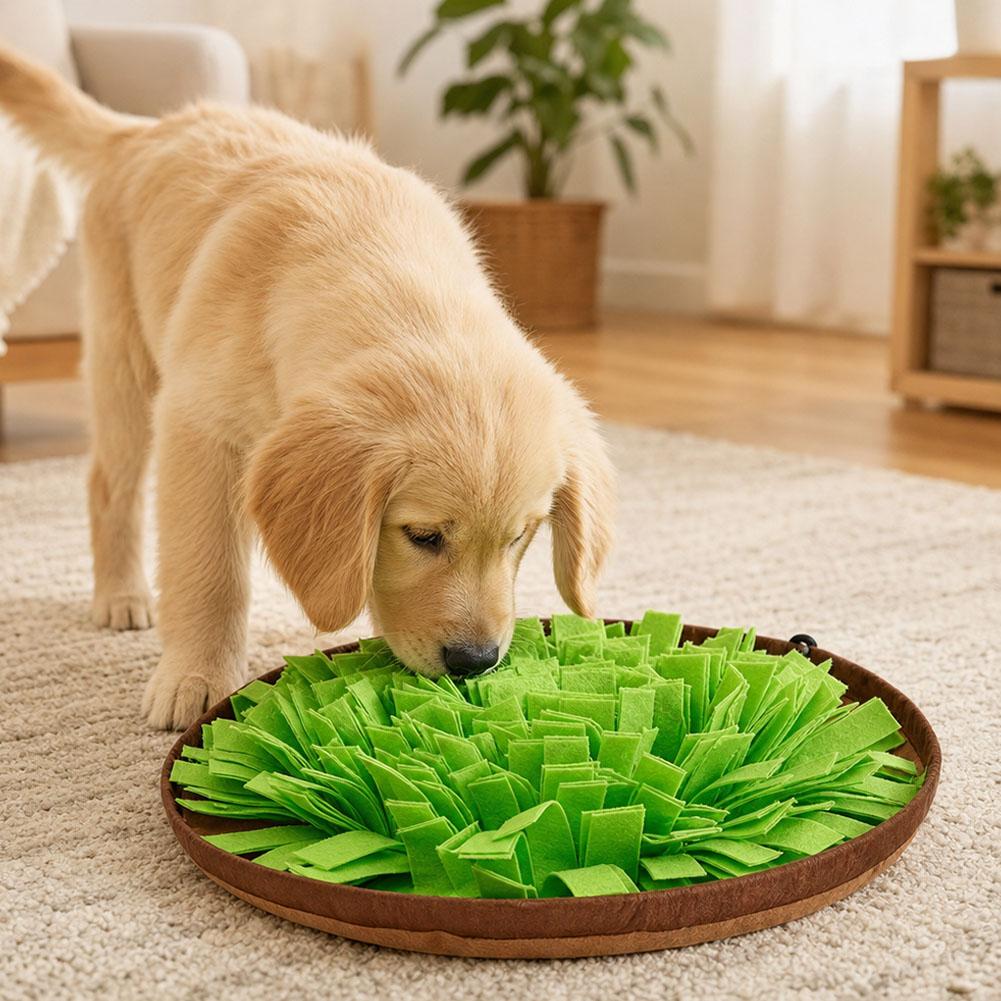 Dog Snuffle Mat Interactive Fe - Dog Puzzle Feeder Toy review and price