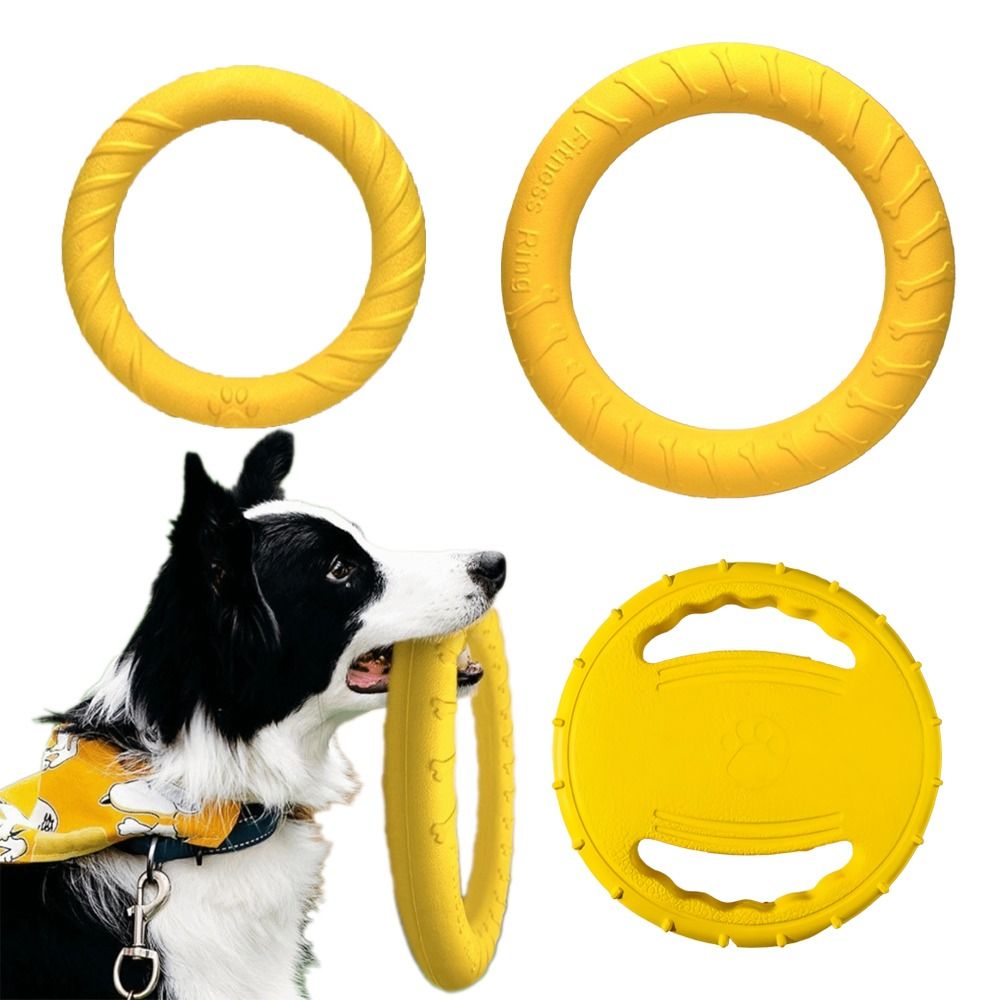 Puppy Outdoor Play Toy Set EVA - Flying Disc Dog Training Toy review and price