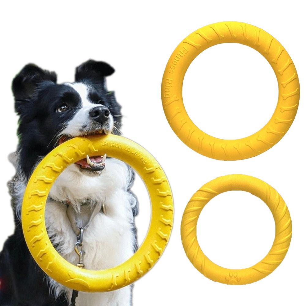 Puppy Outdoor Play Toy Set EVA - Flying Disc Dog Training Toy review and price
