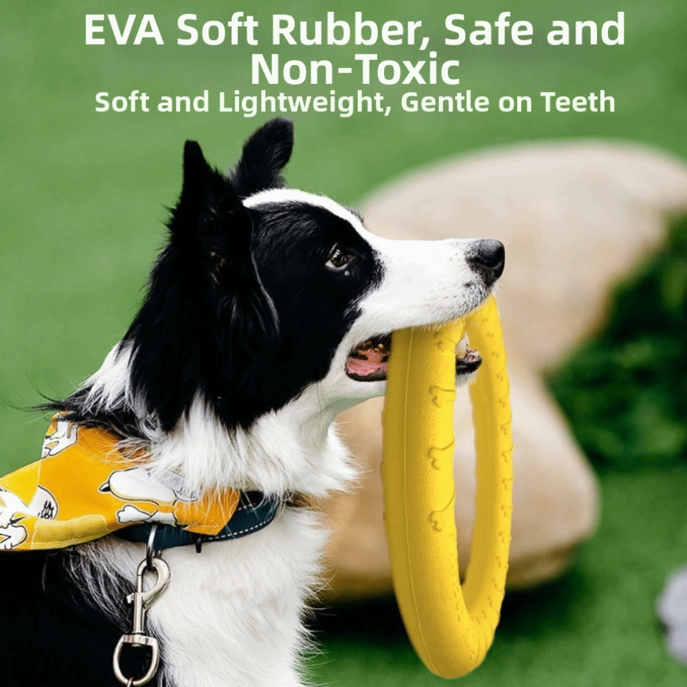 Puppy Outdoor Play Toy Set EVA - Flying Disc Dog Training Toy review and price